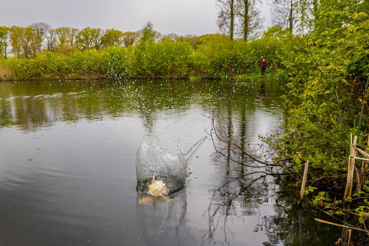 Visvoer en waterkwaliteit