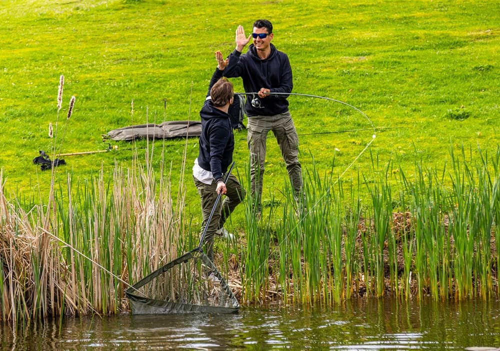 Van beginner tot expert