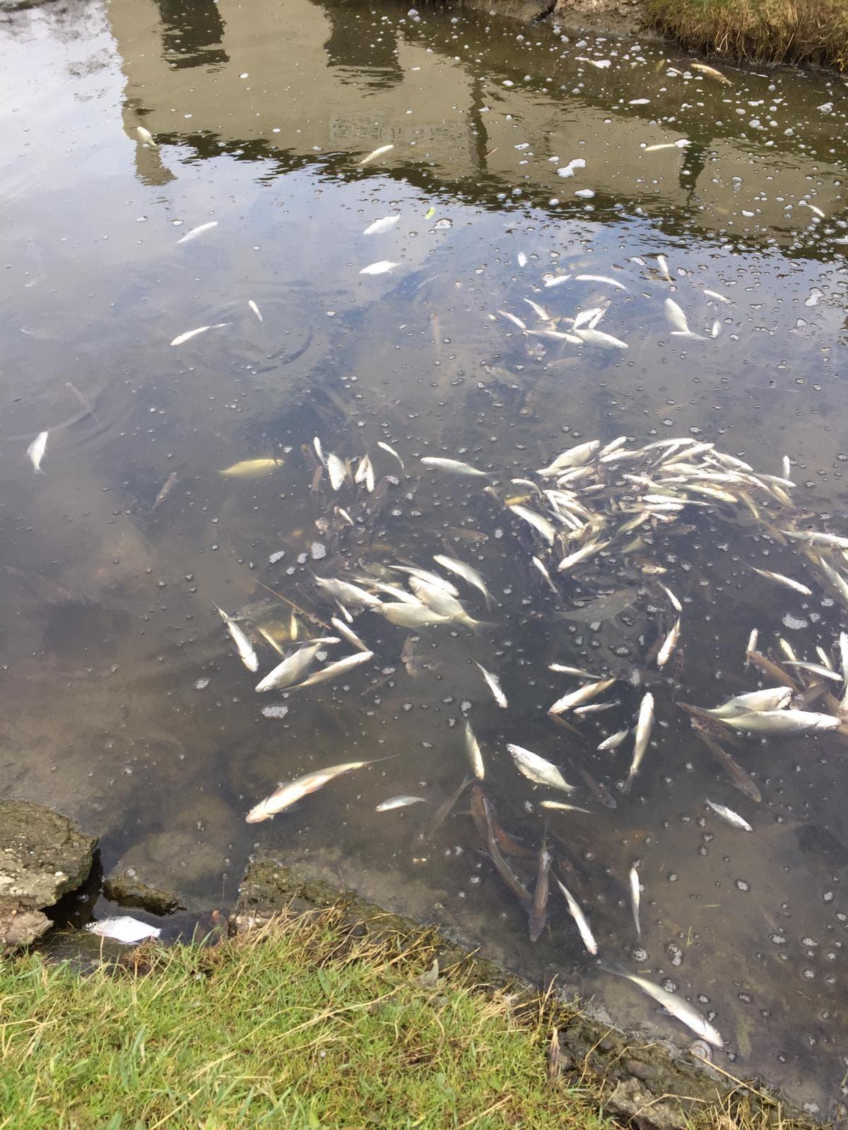 VISPAS. Jouw toegang tot water. engels