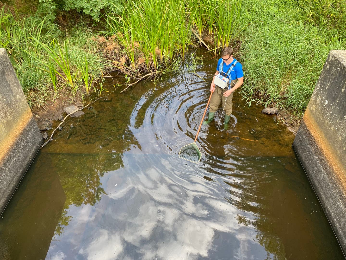VISPAS. Jouw toegang tot water. engels