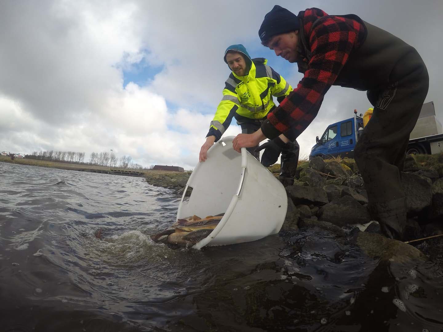 Vis uitzetten: soms nodig, altijd zorgvuldig