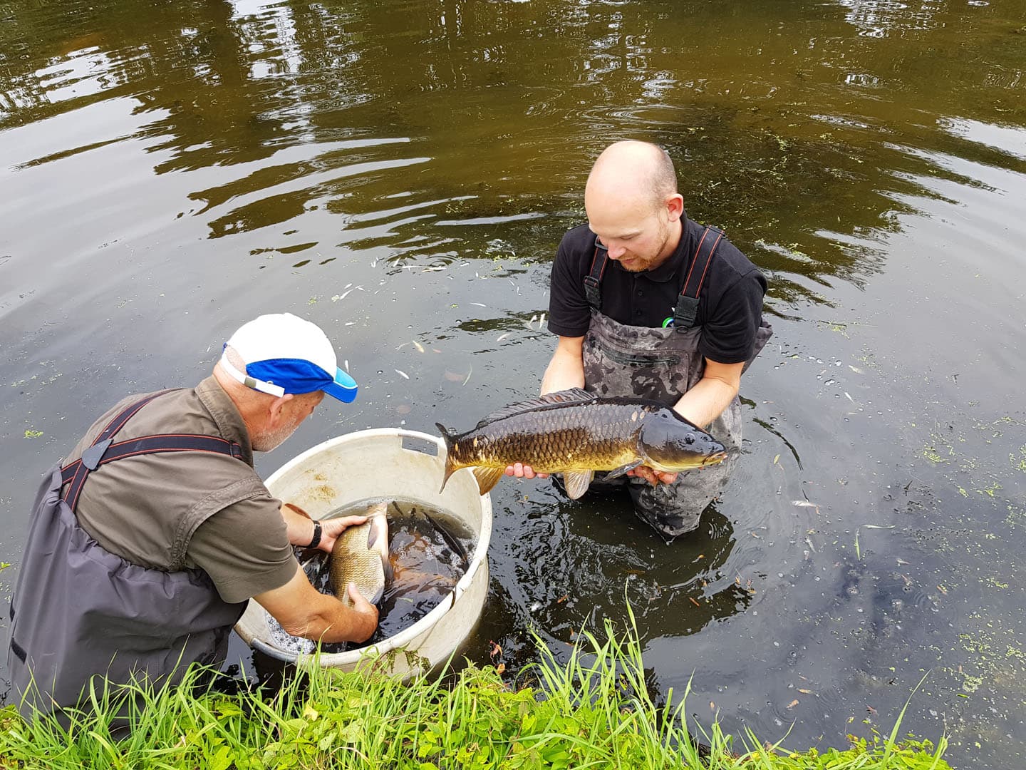 VISPAS. Jouw toegang tot water. engels