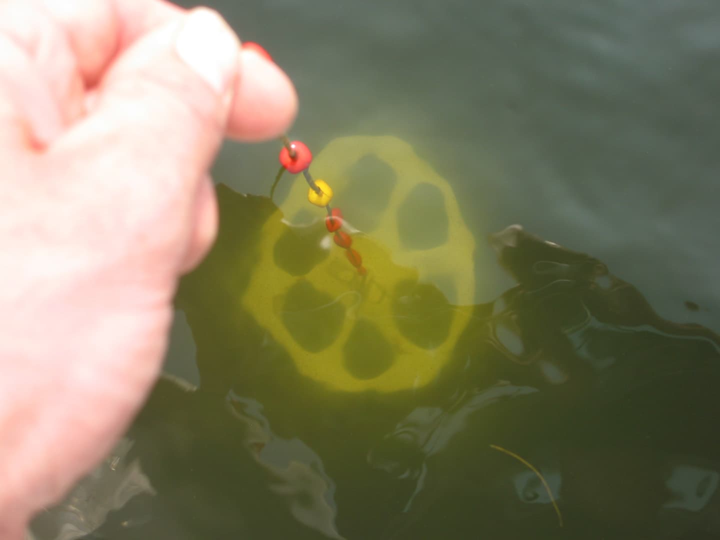 VISPAS. Jouw toegang tot water. engels