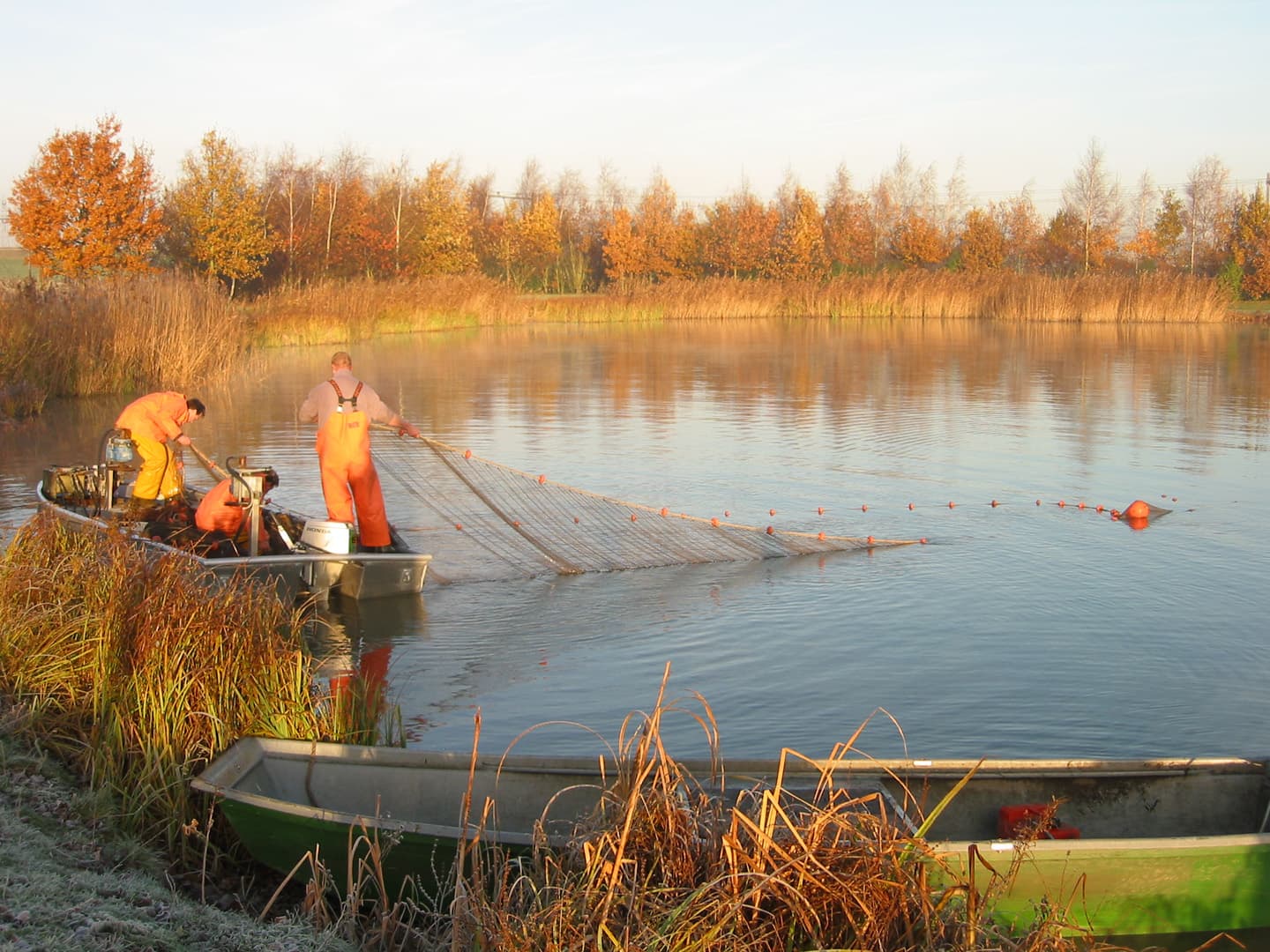 Actief Biologisch Beheer (ABB): waarom de Sportvisunie ‘nee’ zegt