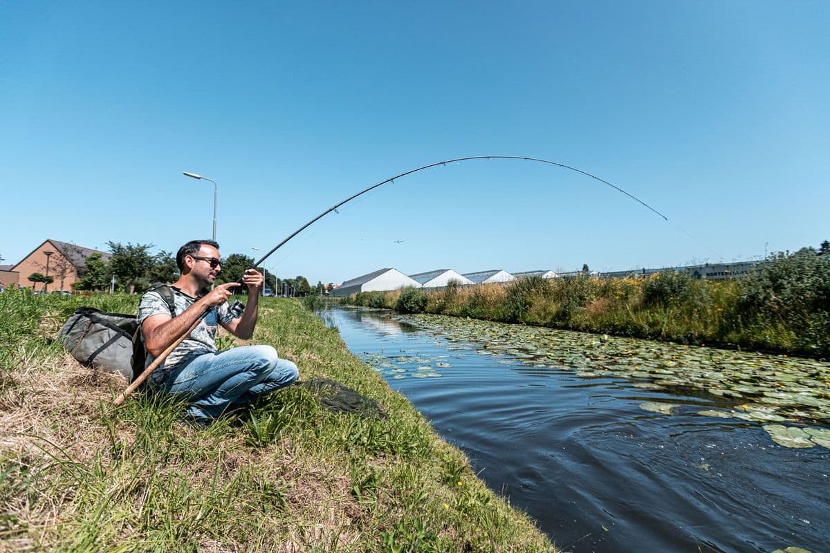 Planmatig viswaterbeheer