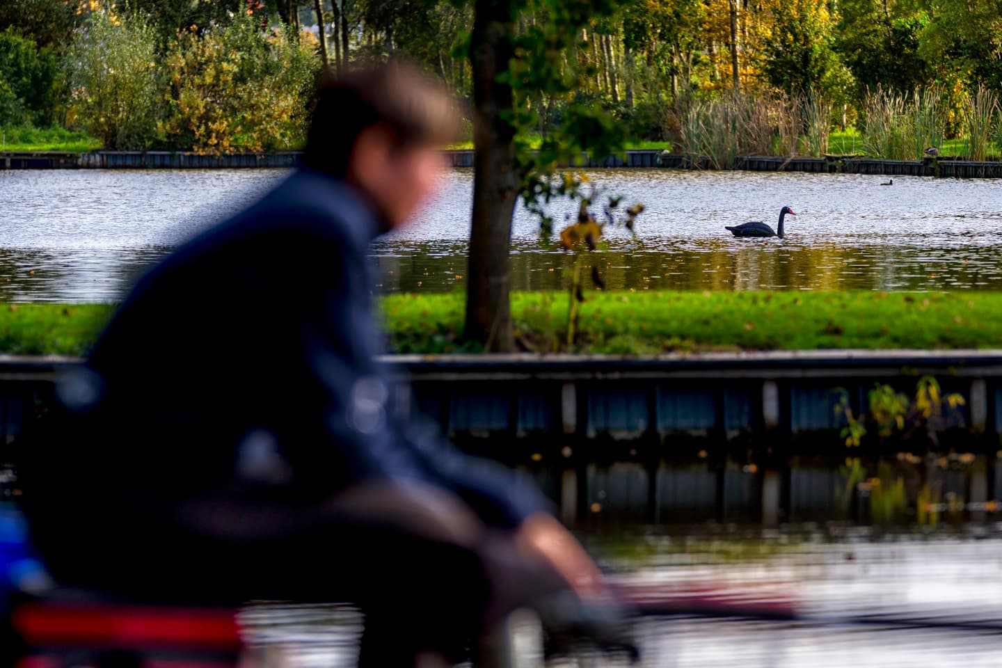 VISPAS. Jouw toegang tot water. engels