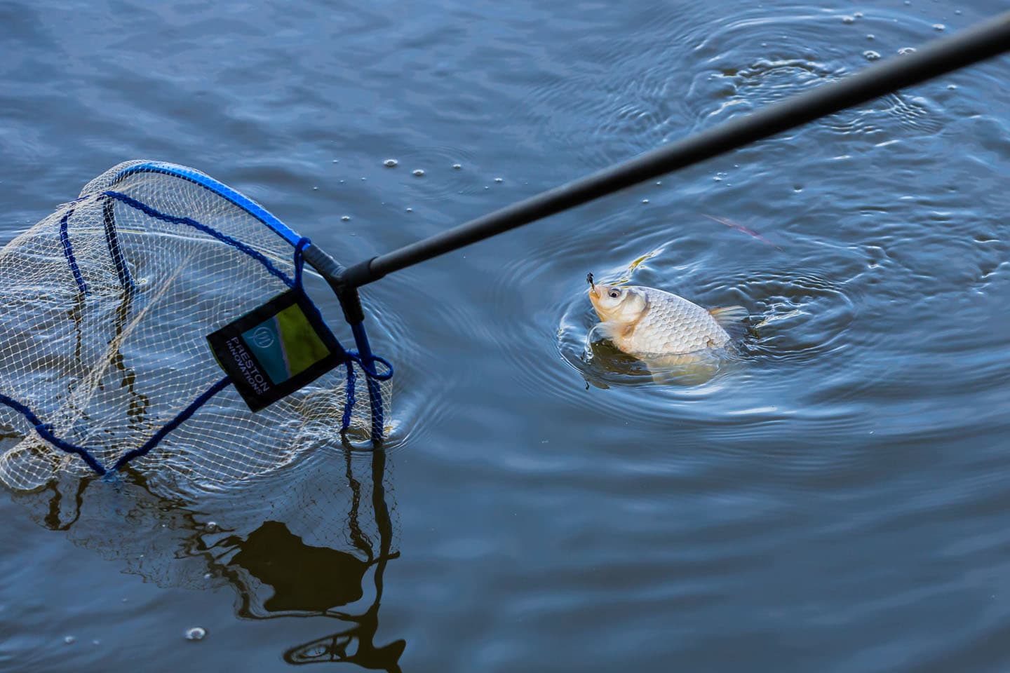 VISPAS. Jouw toegang tot water. engels