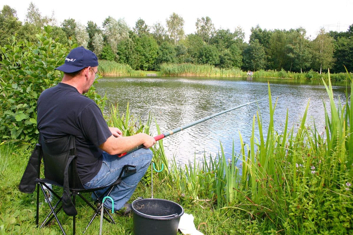 Cursus praktisch visvijverbeheer