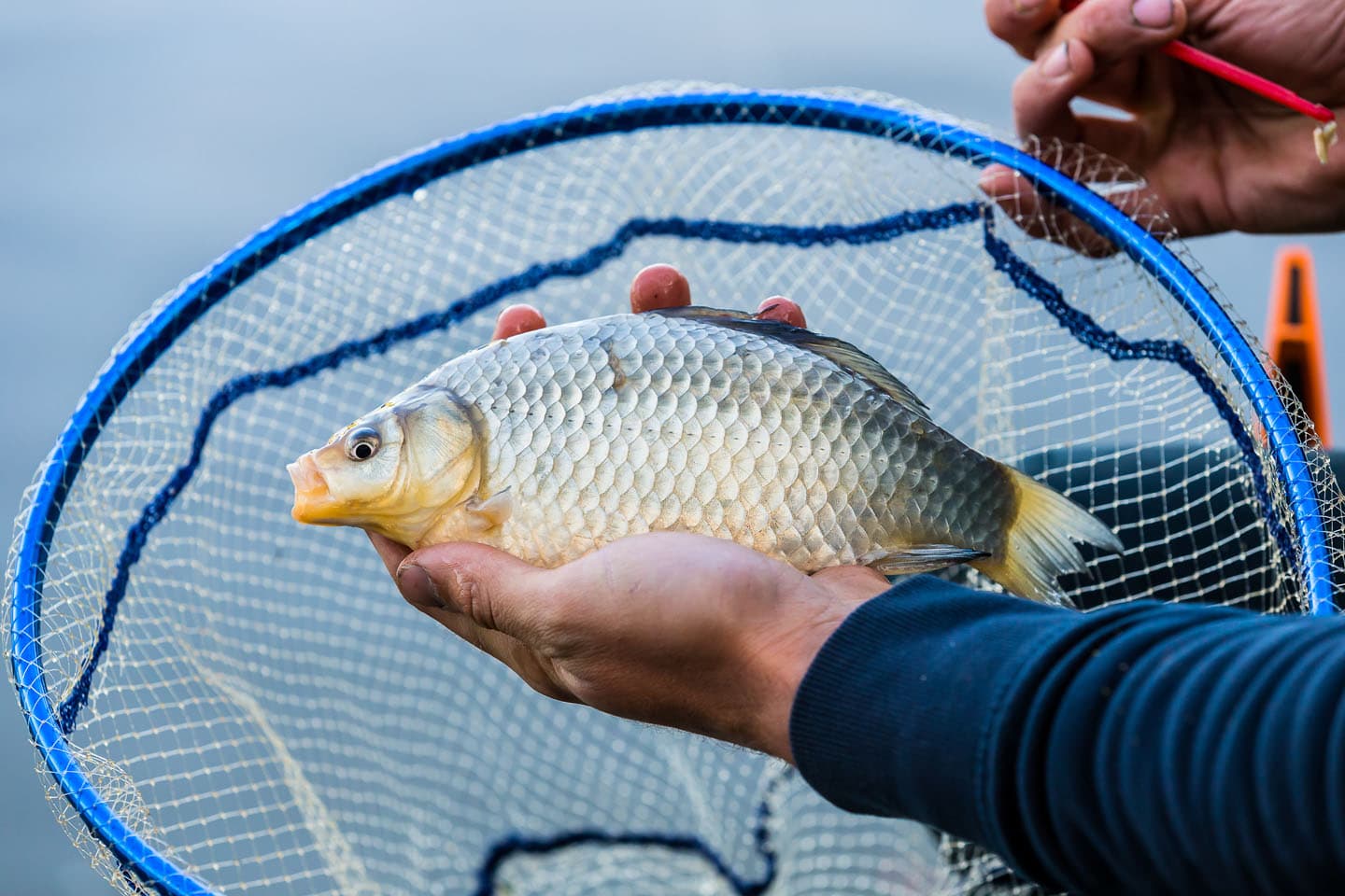 VISPAS. Jouw toegang tot water. engels