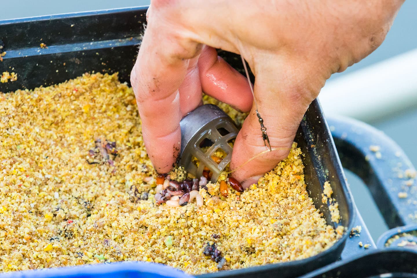 VISPAS. Jouw toegang tot water. engels