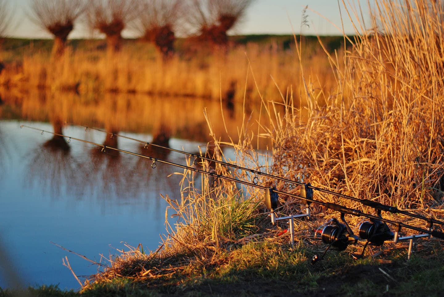 VISPAS. Jouw toegang tot water. engels