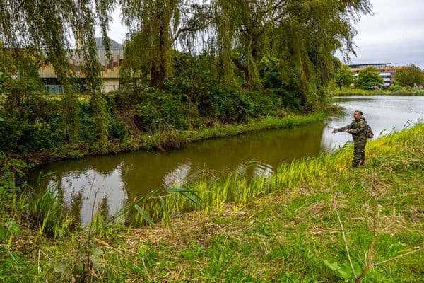 Viswateren en stekken