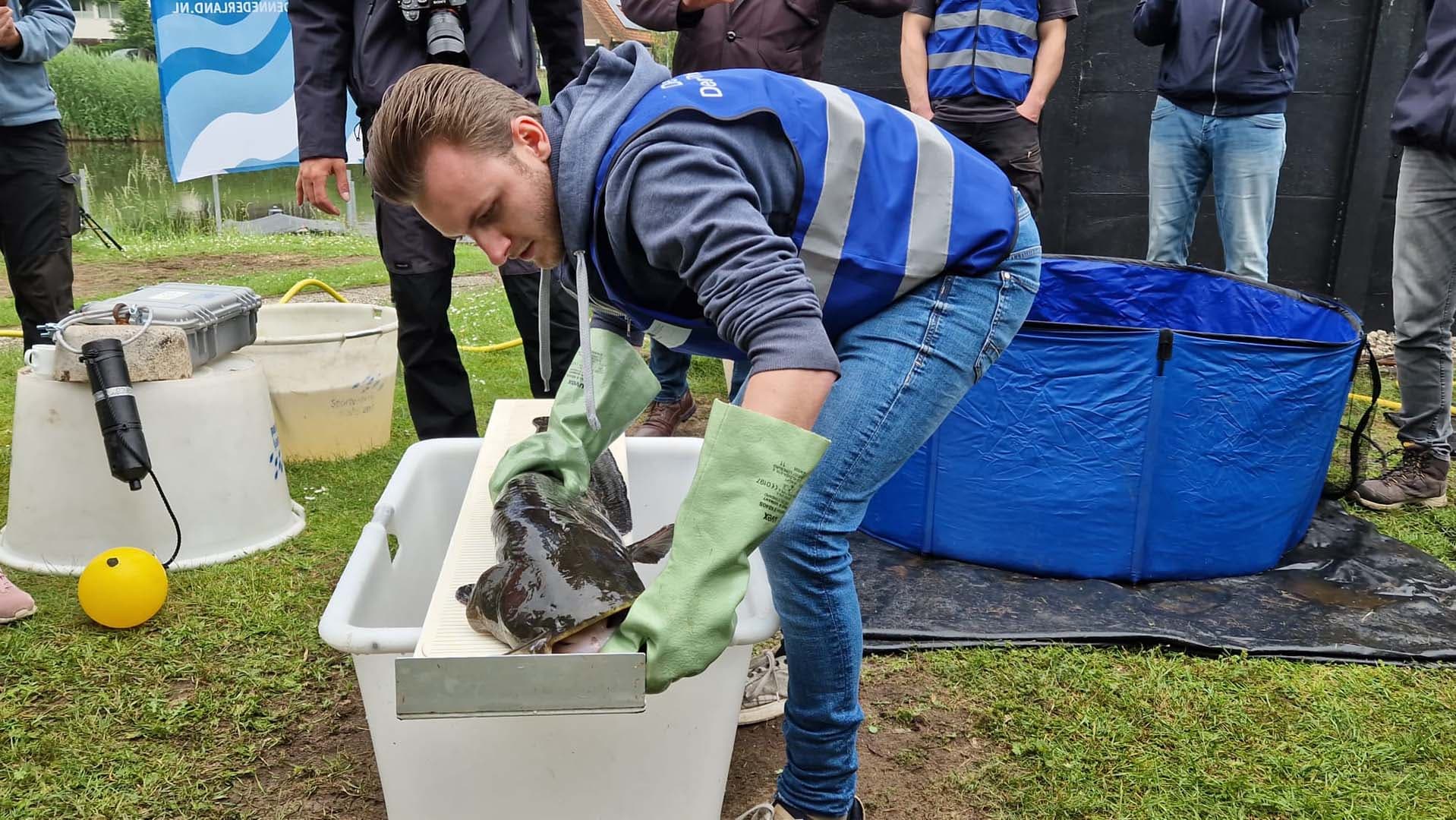 Stage en leerbedrijf