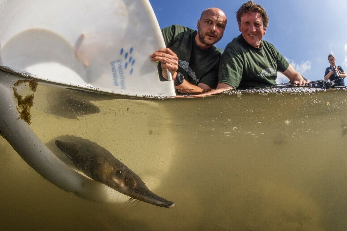 Dossiers en onderzoeken