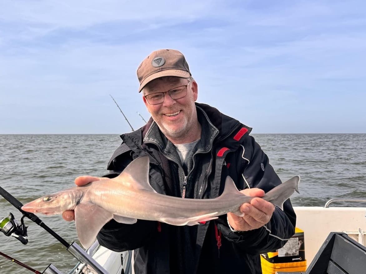 Eerste haaivangsten 2024