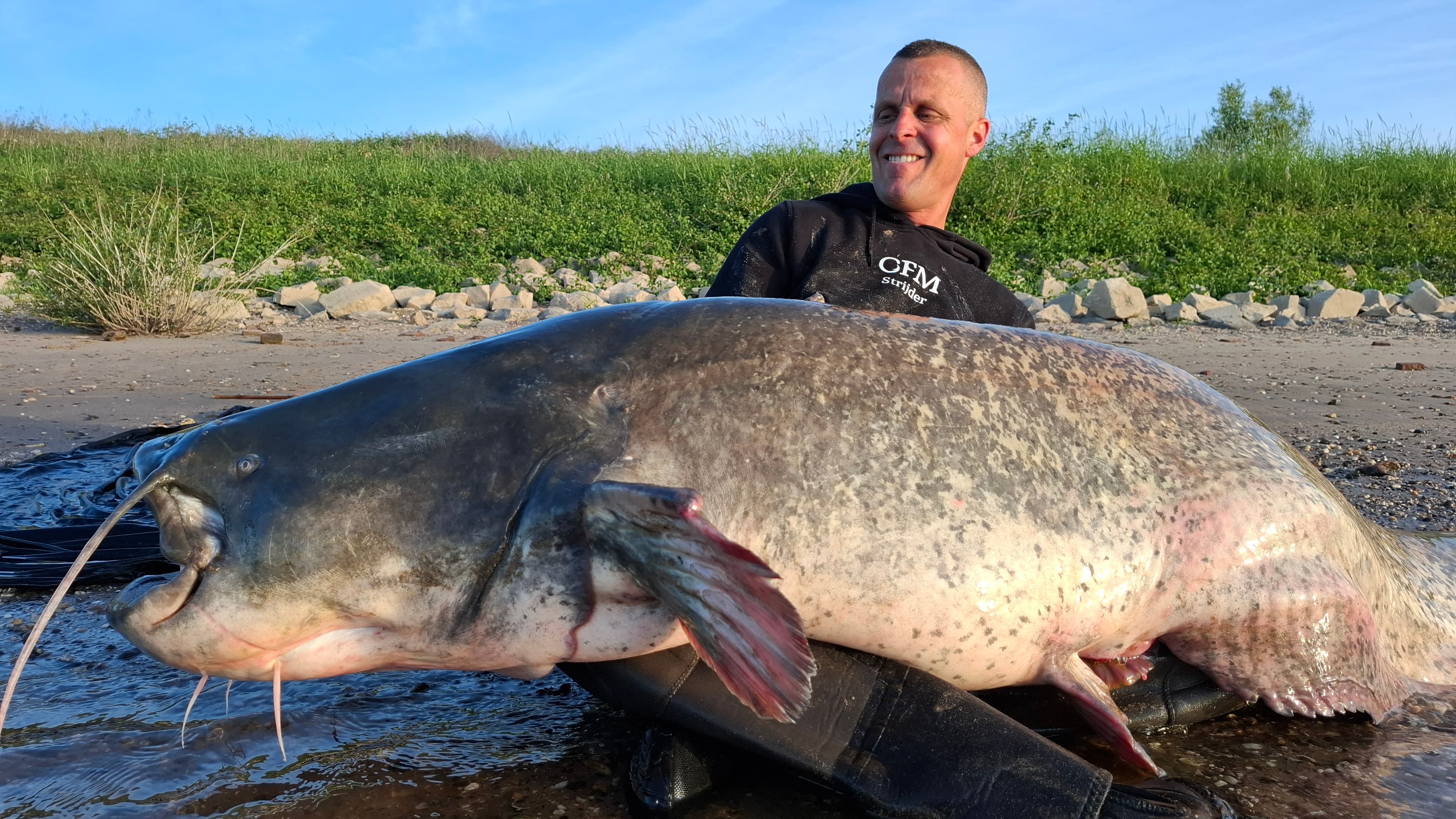 Nieuw Nederlands record meerval van 247 centimeter