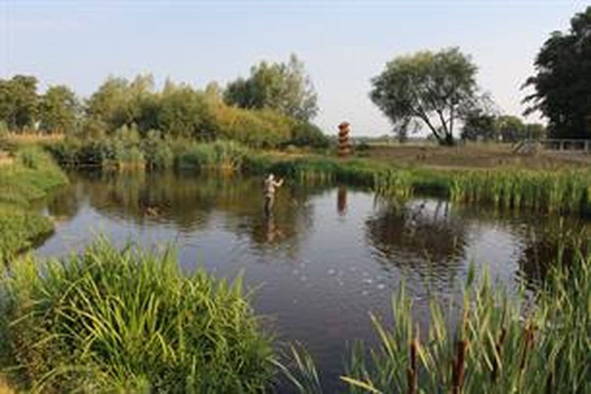 Regionale toestemmingen