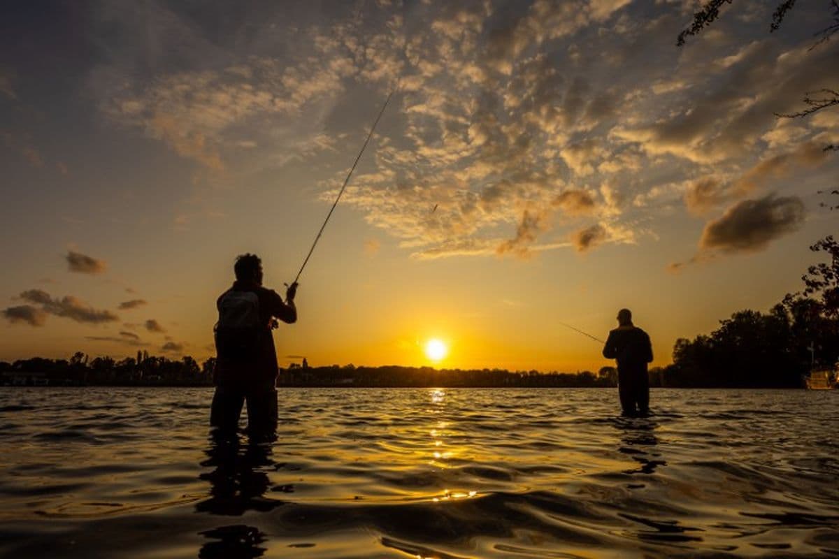Meld maatschappelijke misstand