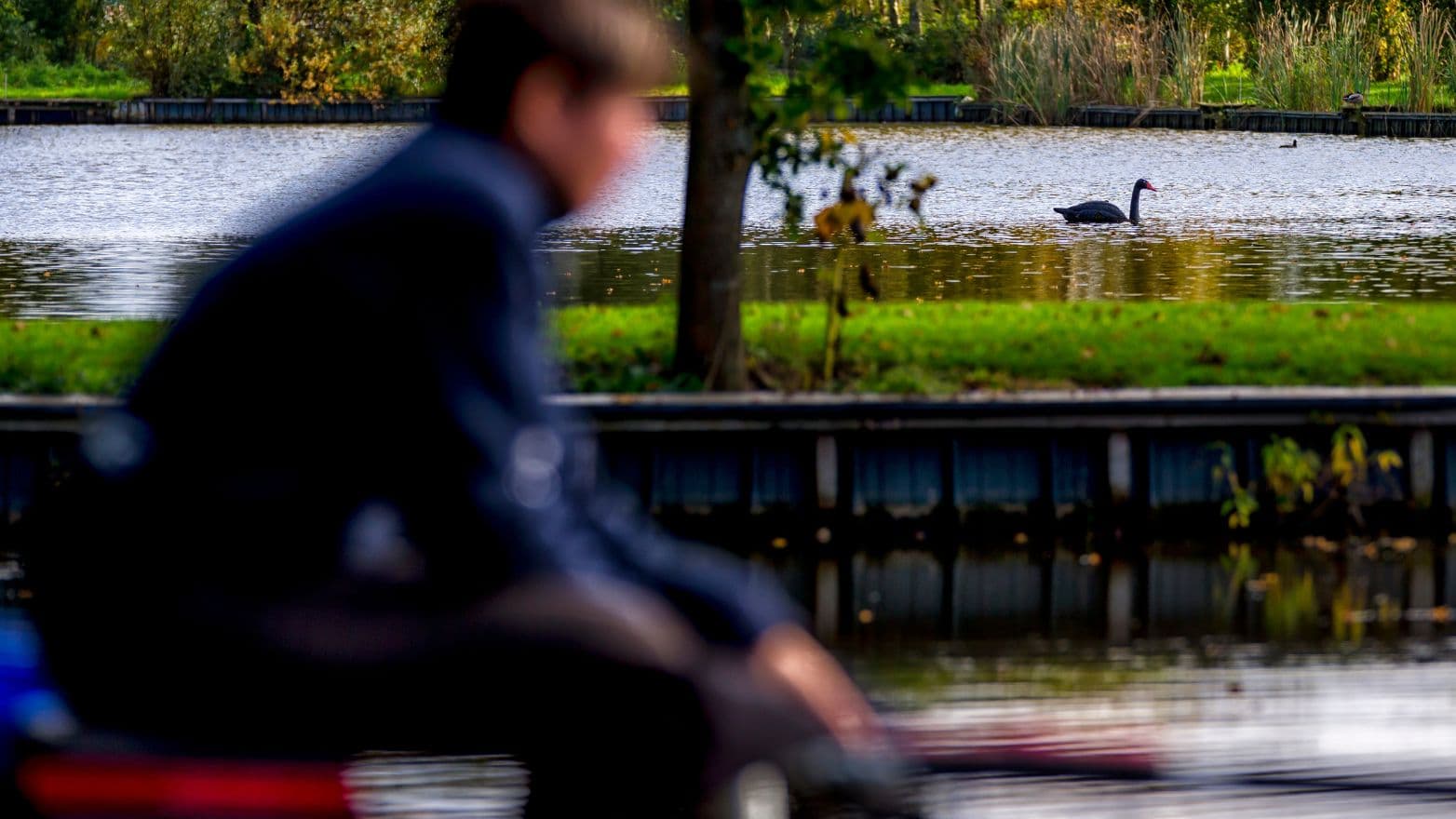 Uitslag verkiezingen Vertegenwoordiging Sportvissers