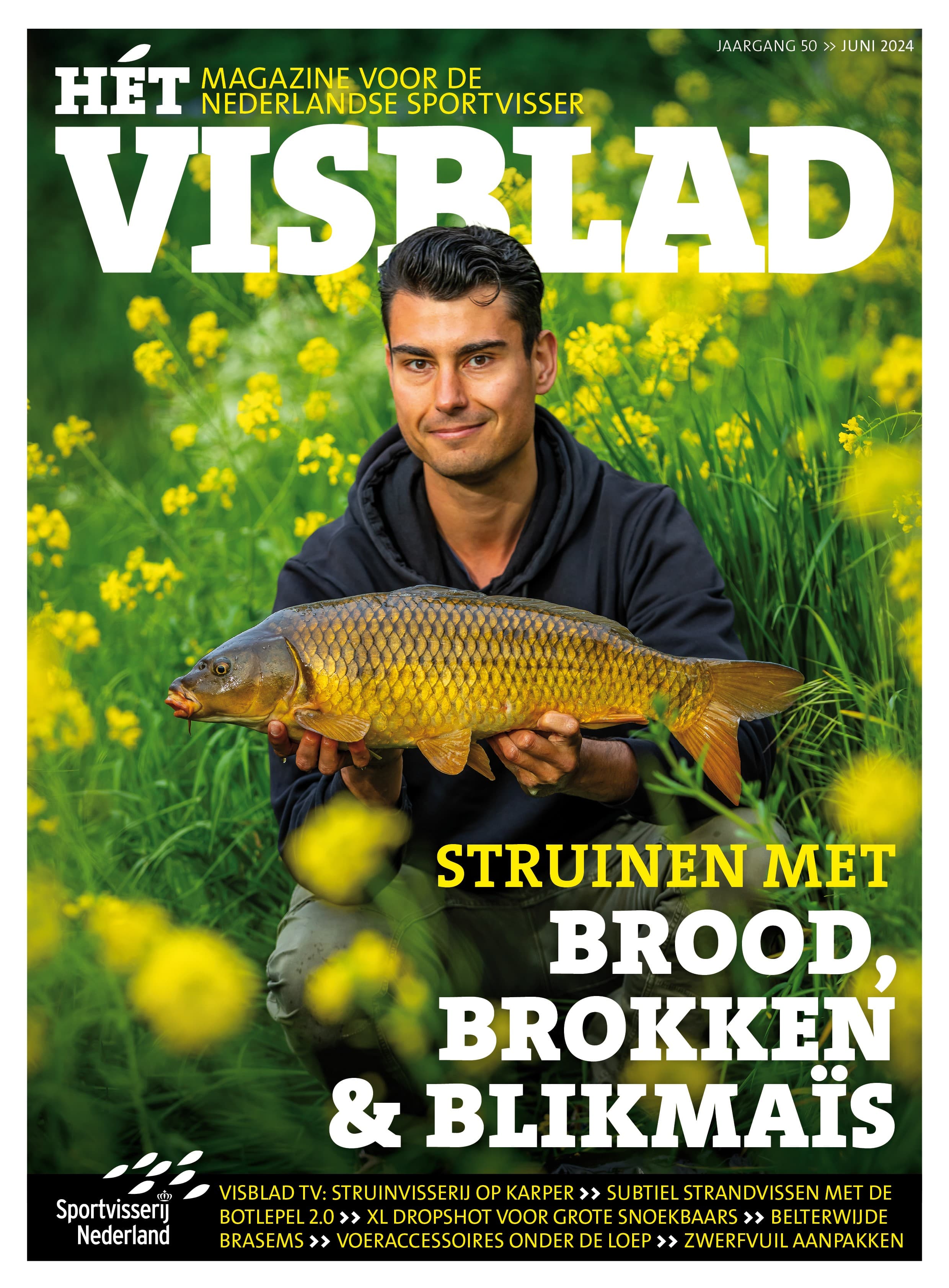 Hét VISblad juni 2024 (video)