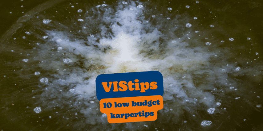 VIStip: 10 low budget karpertips