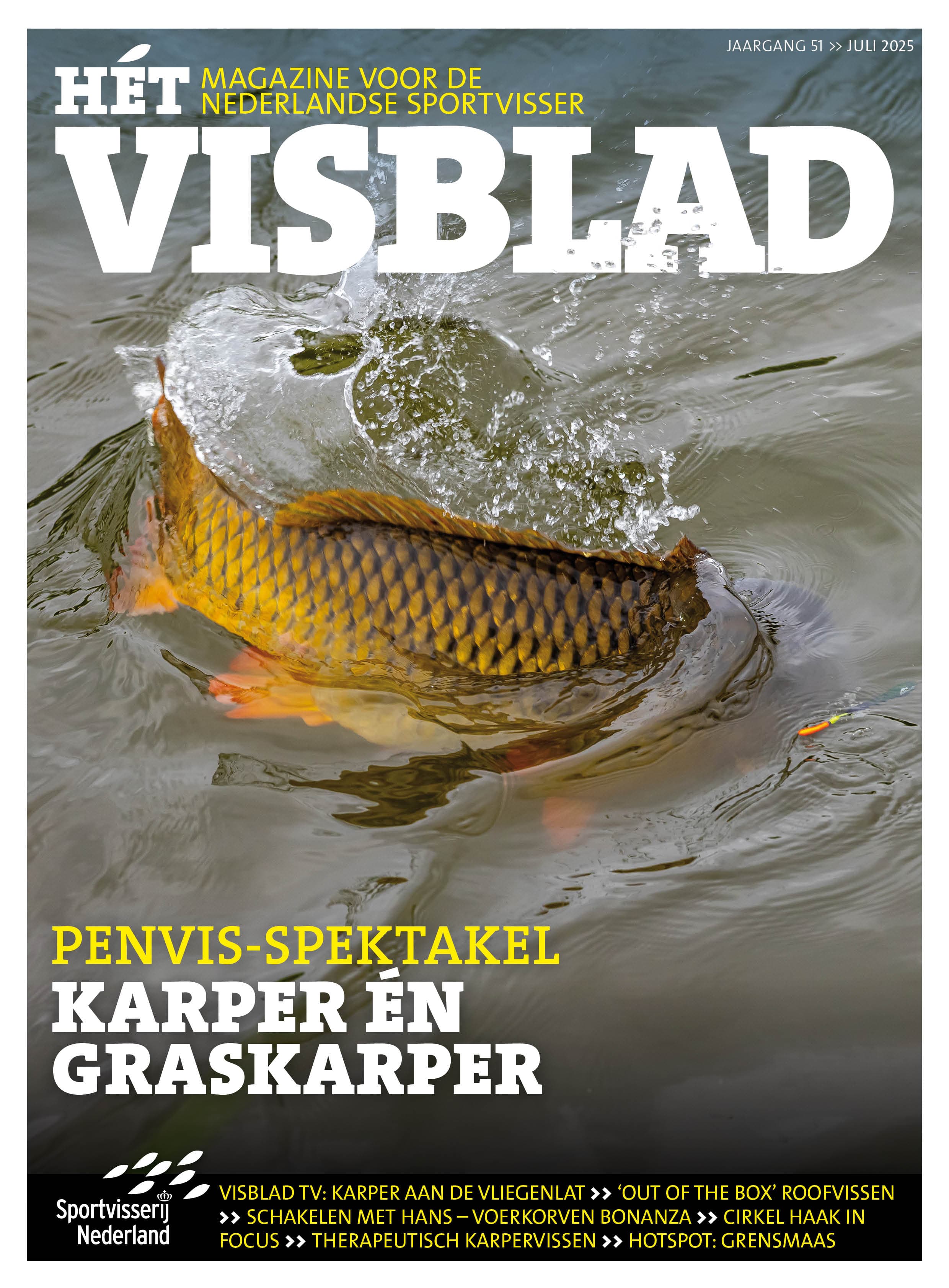 Hét VISblad juli (video)