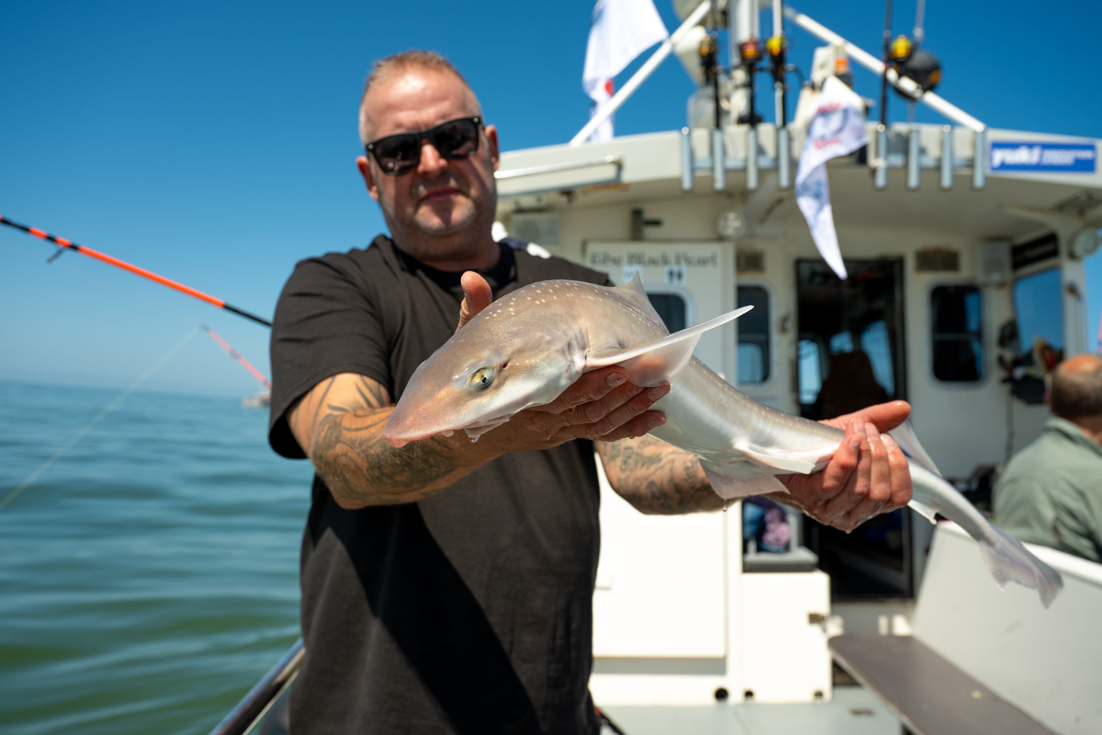 Sharkatag 2025 zit erop, en wat een succes was het!