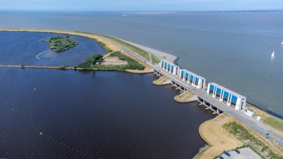 Vissen voor verbinding: zeeforel als symbool voor een gezond watersysteem.
