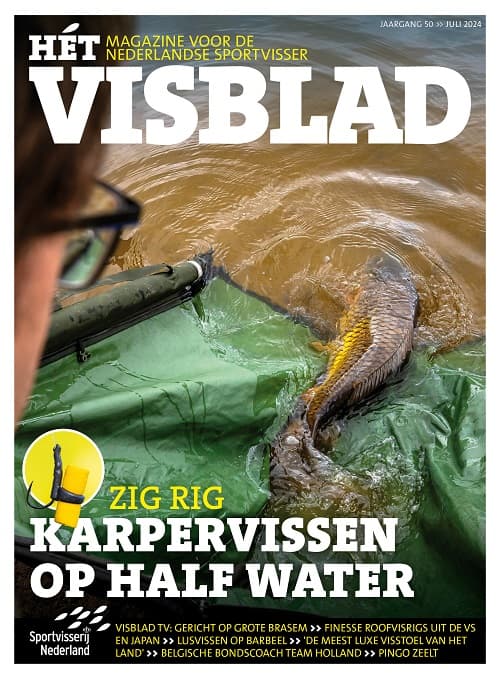 Hét VISblad juli 2024 (video)