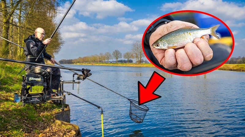 VISblad TV: vaste hengel basics