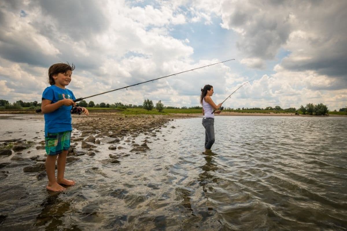 Feiten en cijfers samengevat