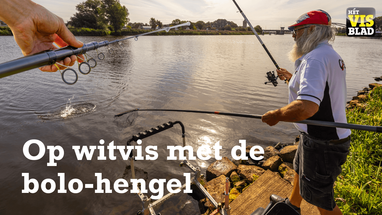 VISblad TV: met de bolo-hengel op witvis