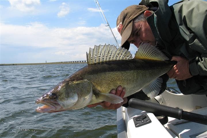 Regionale toestemmingen