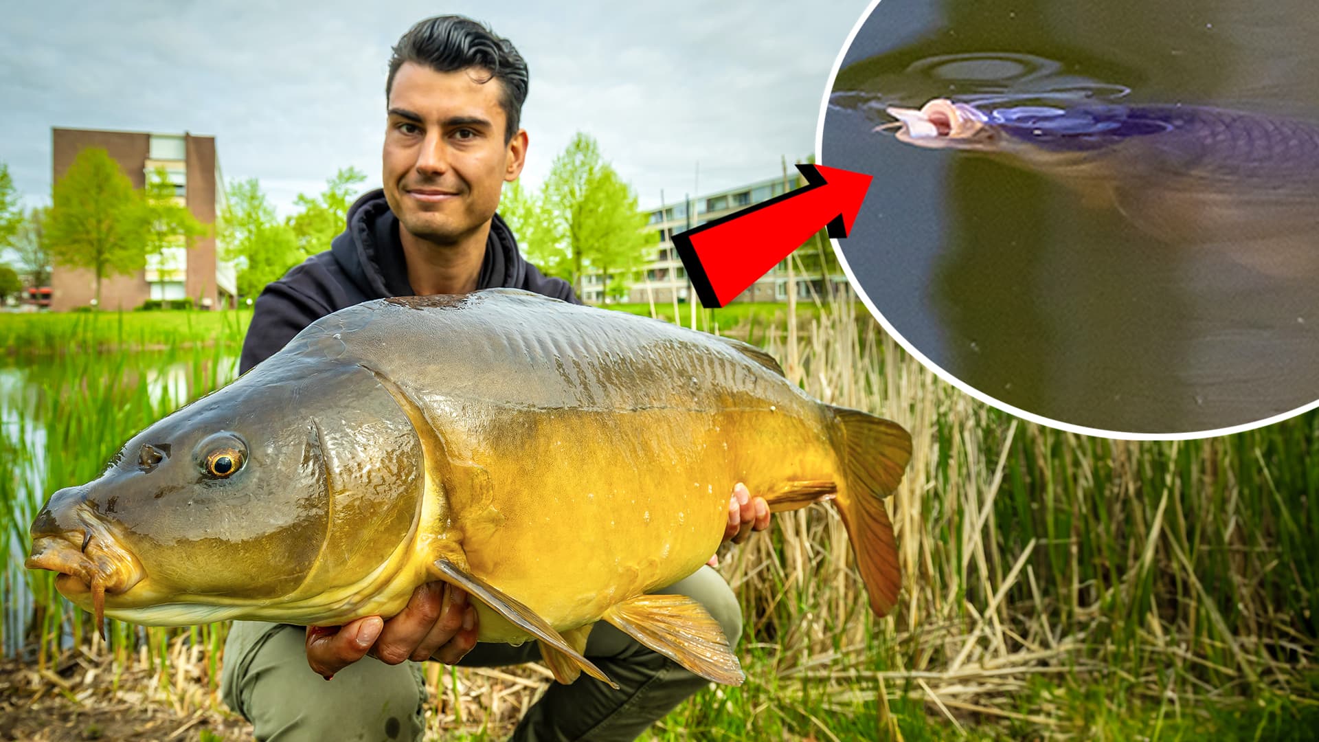 VISblad TV: veelzijdige struinaanpak (video)