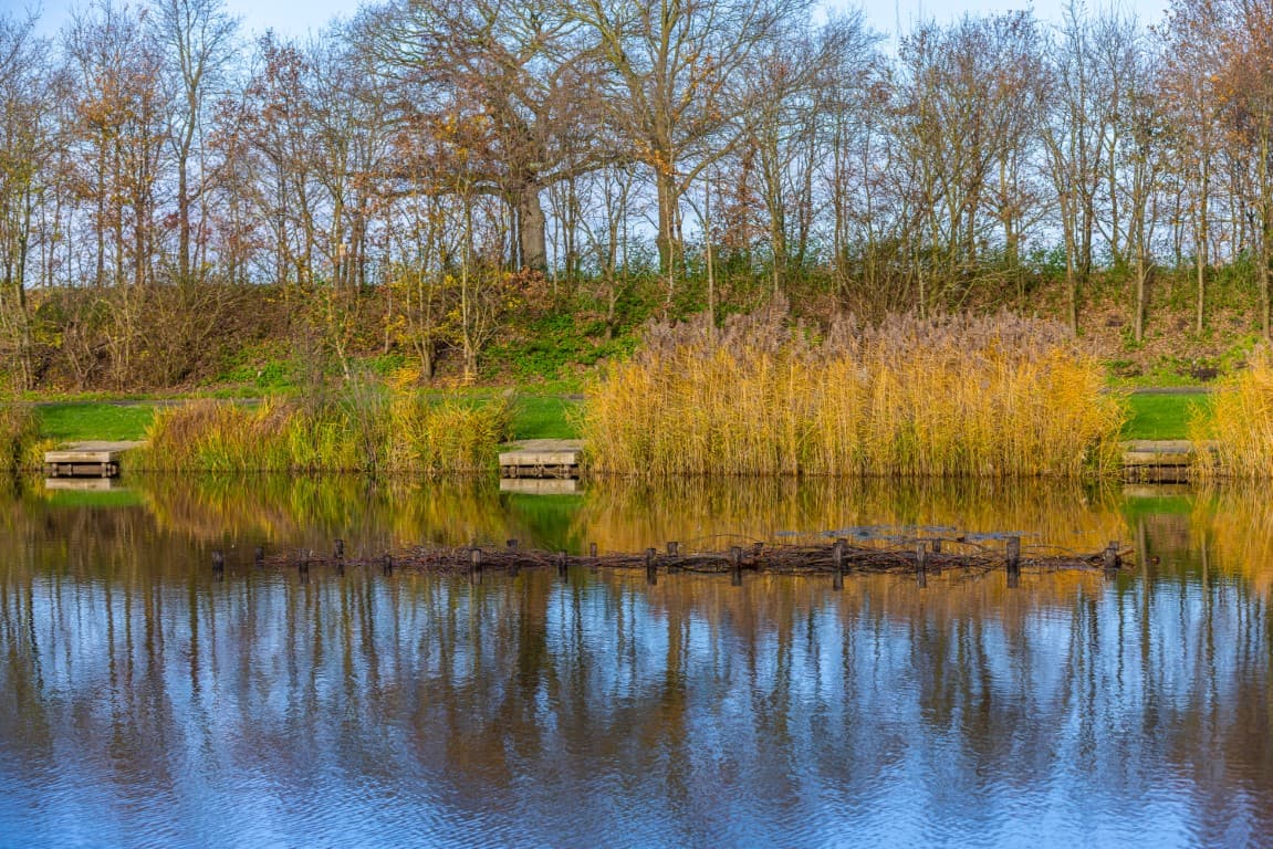 VISPAS. Jouw toegang tot water. engels