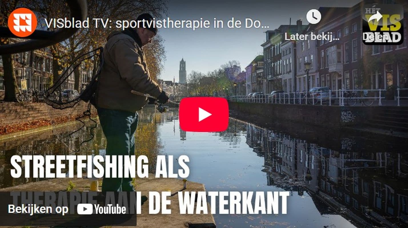 Sportvistherapie in de domstad