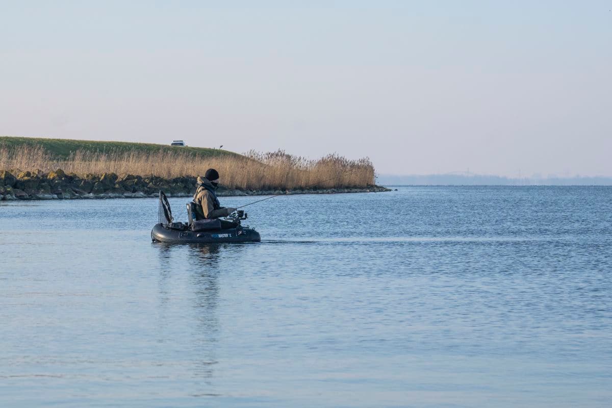 Gedragscode welzijn vis