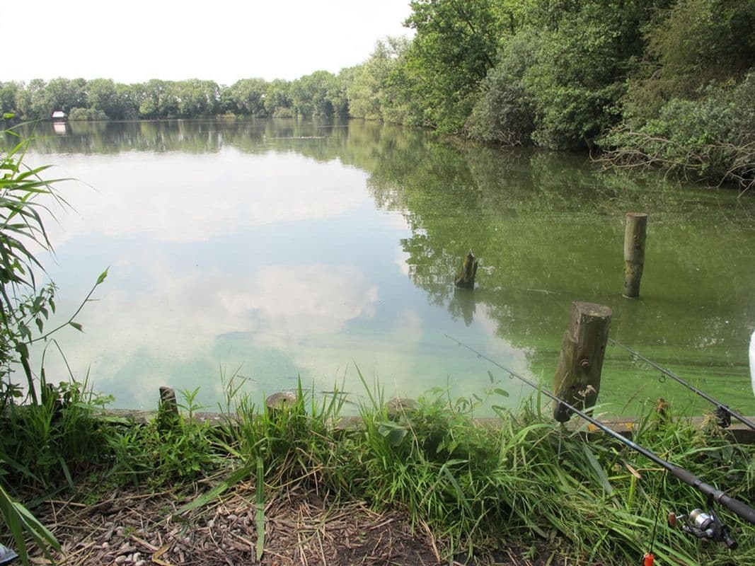 Visbeheer in diepe plassen