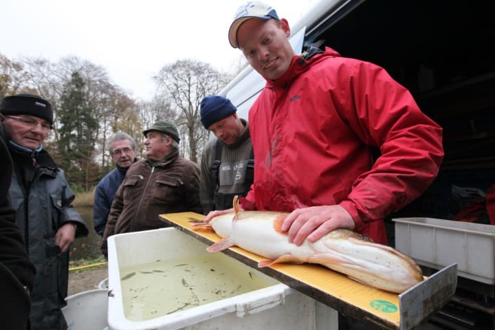 Stage vacature: projectmedewerker Vis & Water