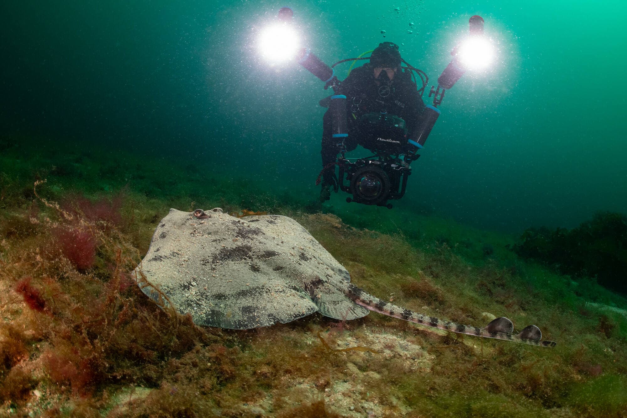 Nieuwe bioscoopfilm: De Wilde Noordzee