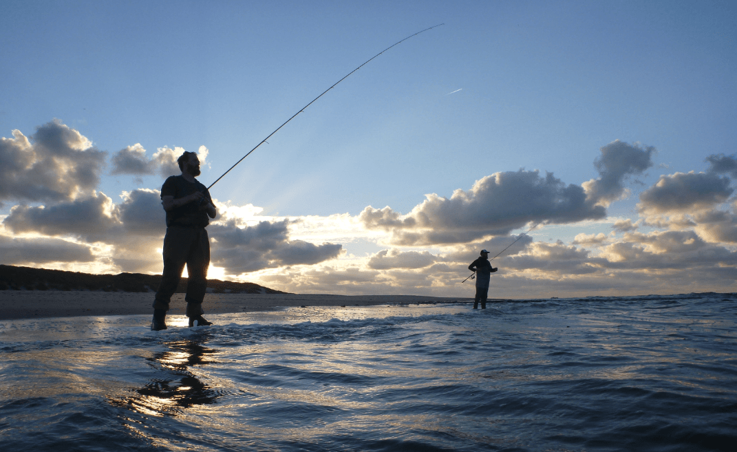 Nieuws - Het Visblad