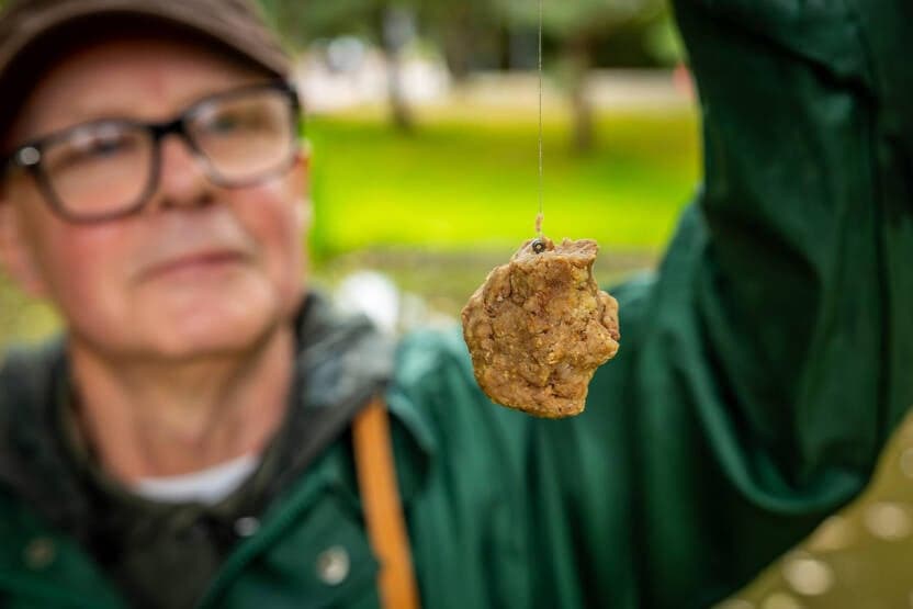 Struinend karpervissen: terug naar de essentie