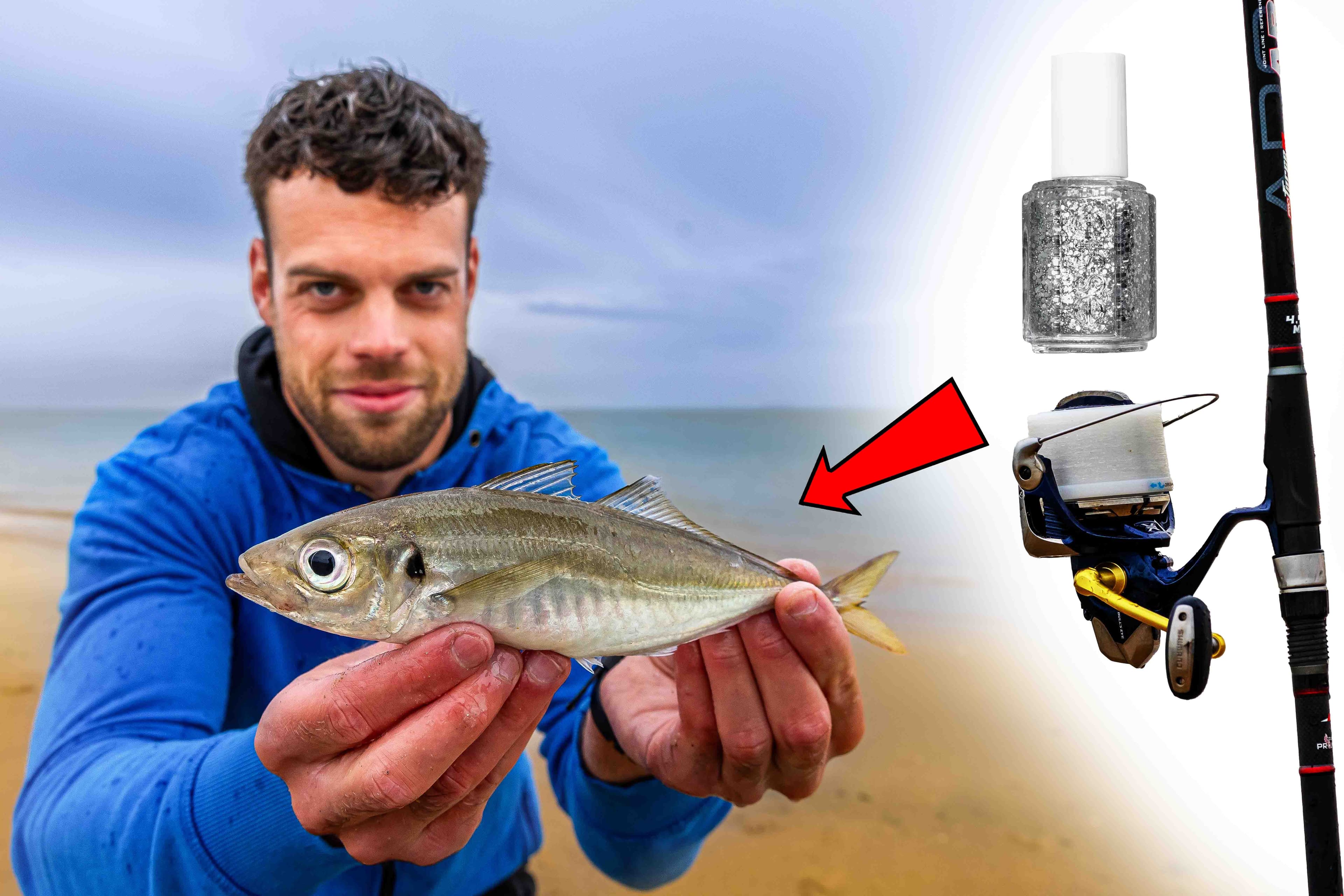 VISblad TV: makreelvissen met glitters en glimmers (video)