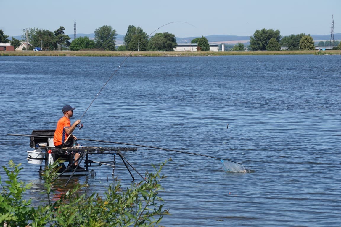 België klasse apart op EK Dobber, Nederland stelt teleur