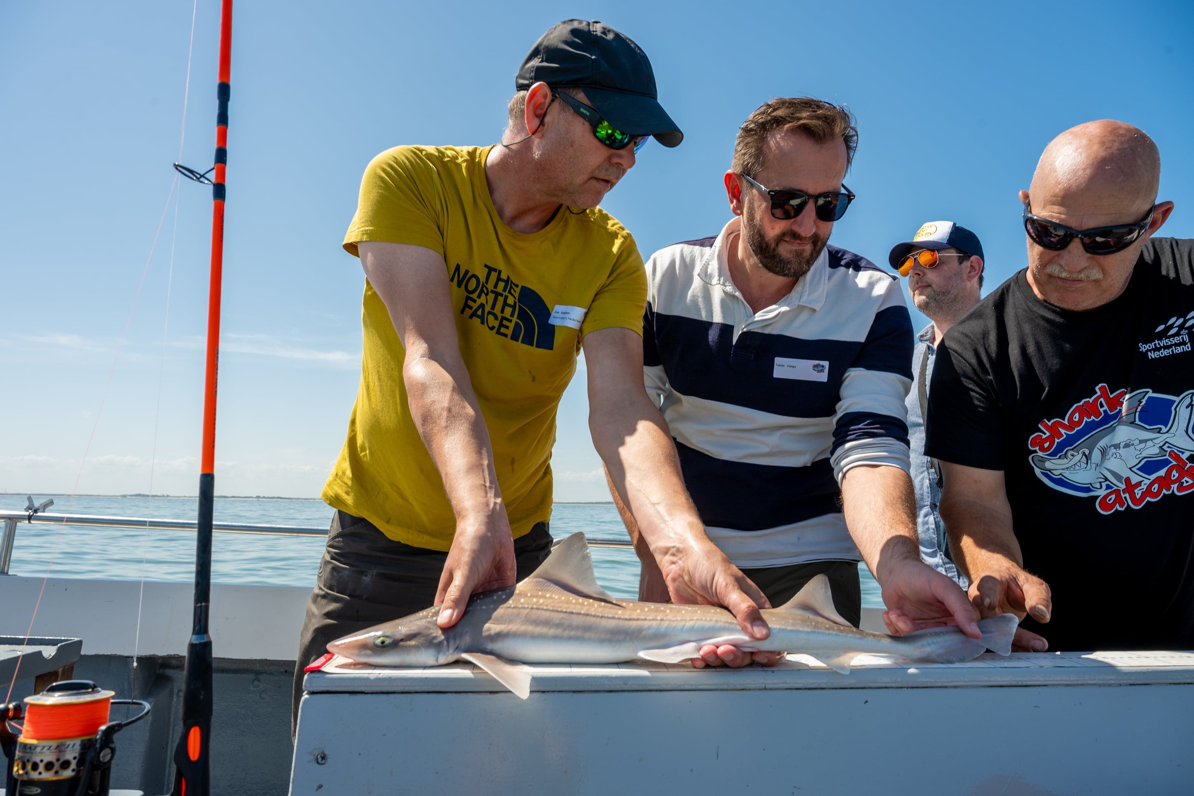 Meld gemerkte vissen!