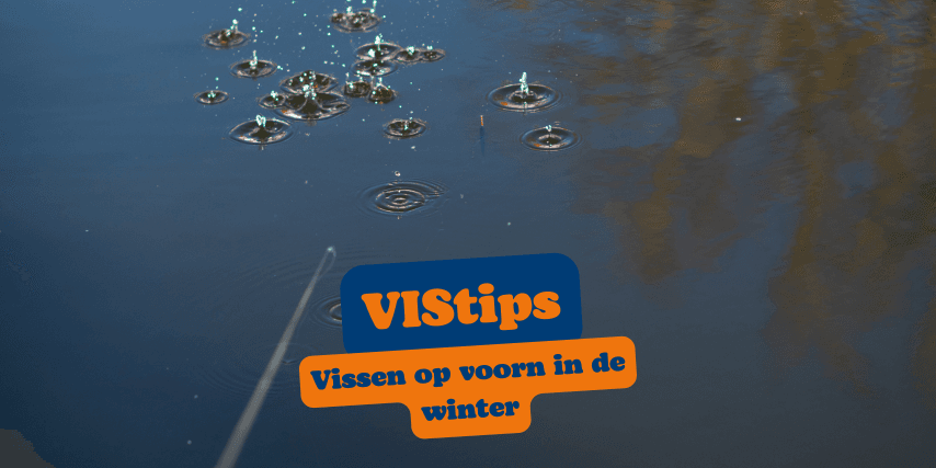 VIStip: vissen op voorn in de winter