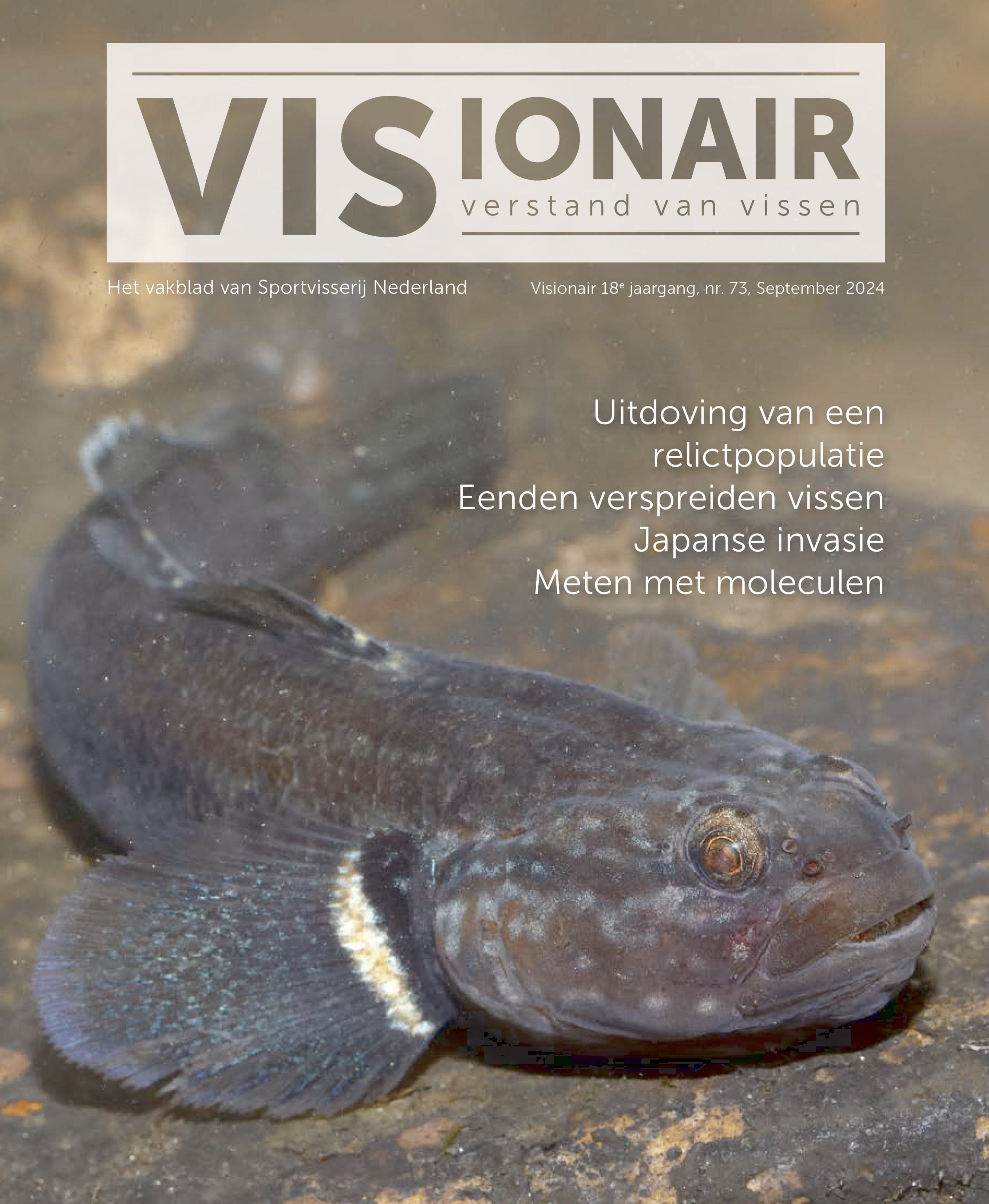 VISionair no 73 is uit!