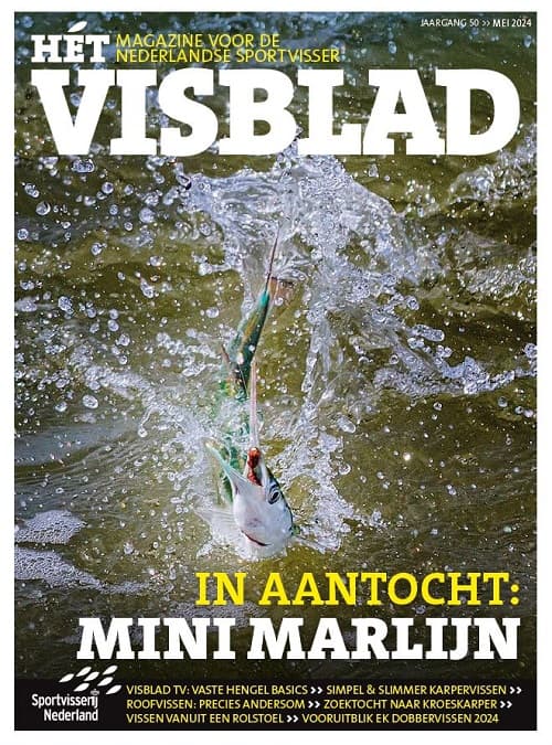 Hét VISblad online mei 2024 (video)