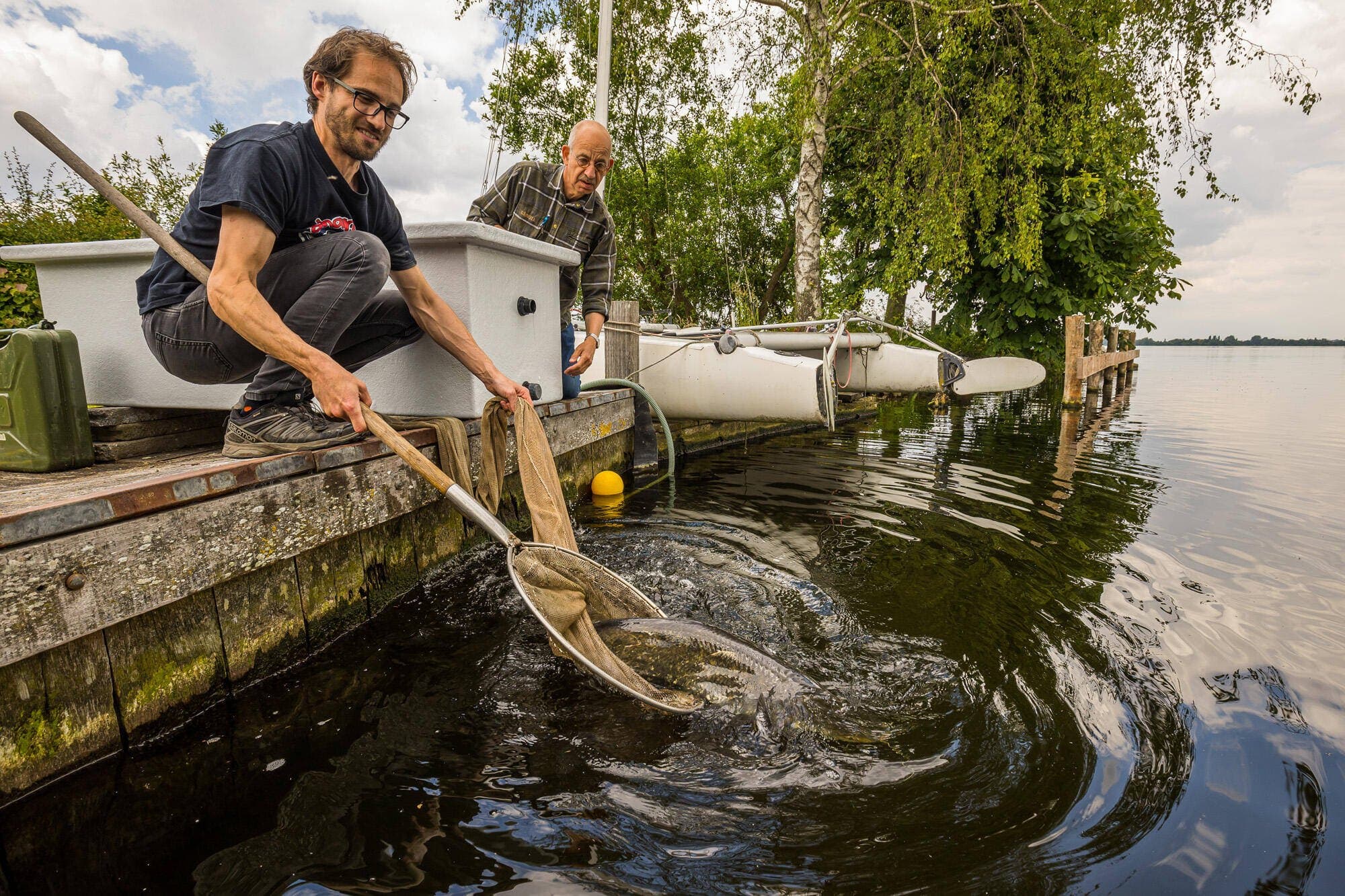 Swimway Rijnland: Onderzoek naar zwemroutes van aal, meerval en karper van start