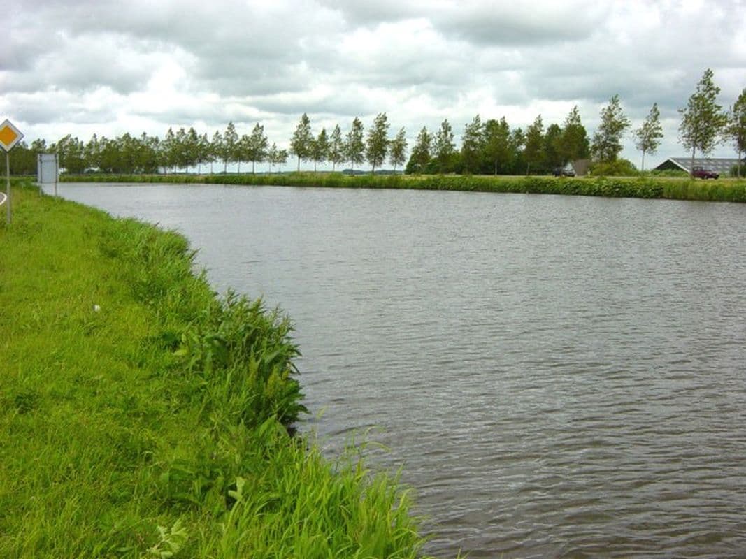 Waar ga je feedervissen?